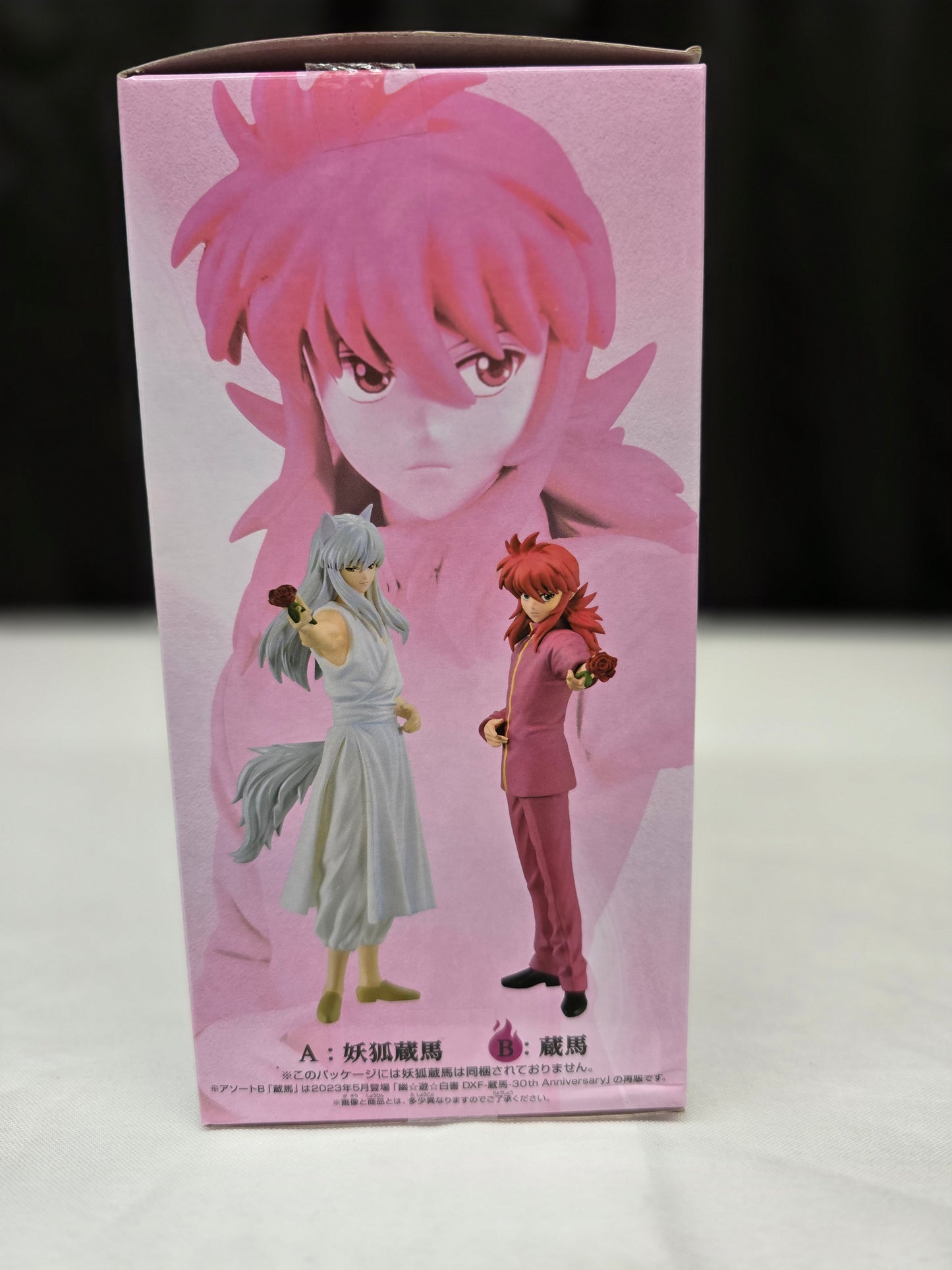 Yu Yu Hakusho -Kurama-